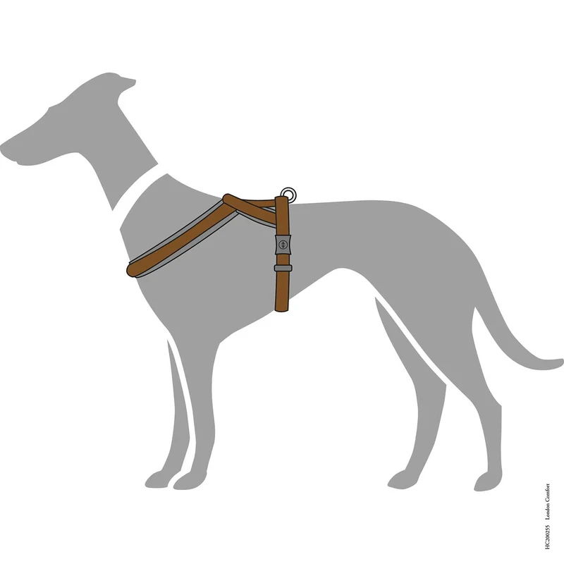 Geschirr London Comfort