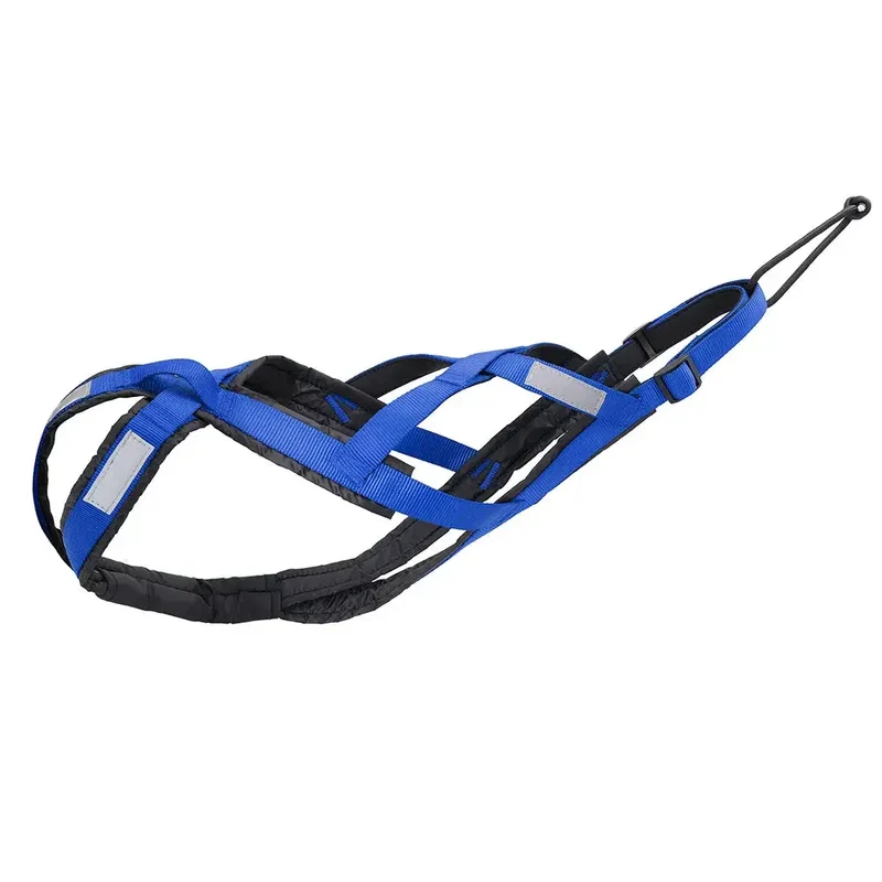 Harnais canicross waterproof bleu