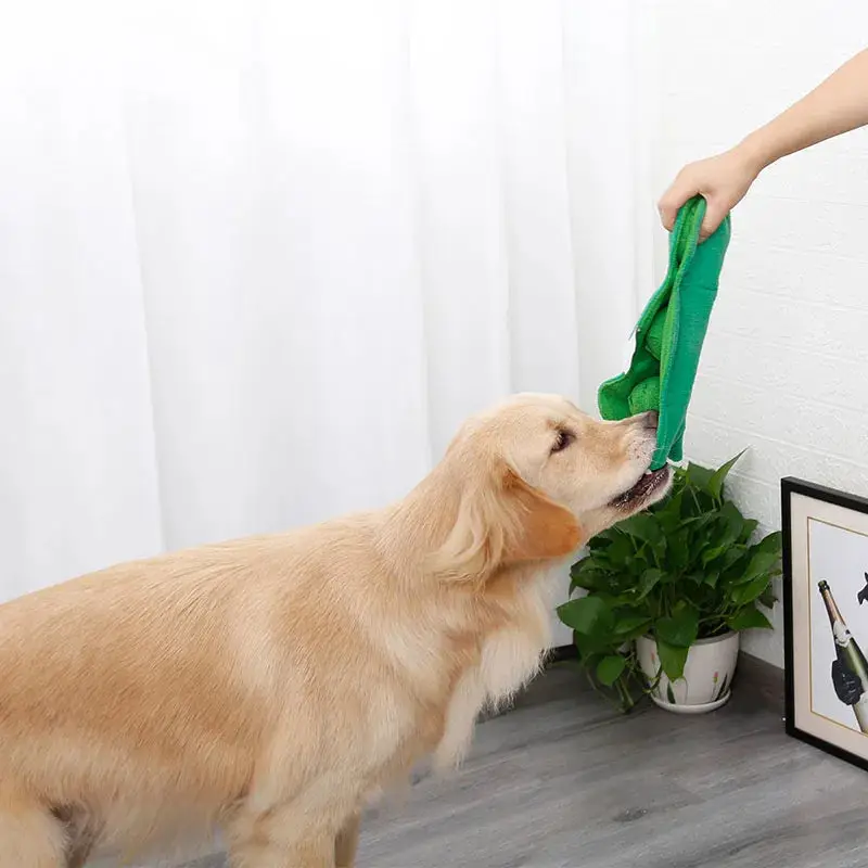 Haricot de fouille pour chien