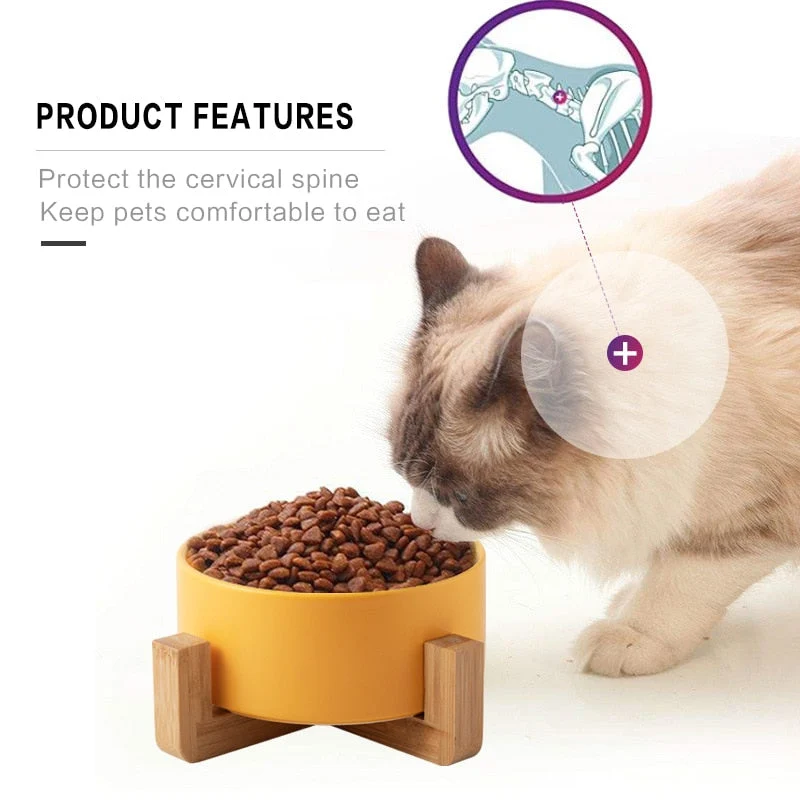 Gamelle céramique et bois pour chat