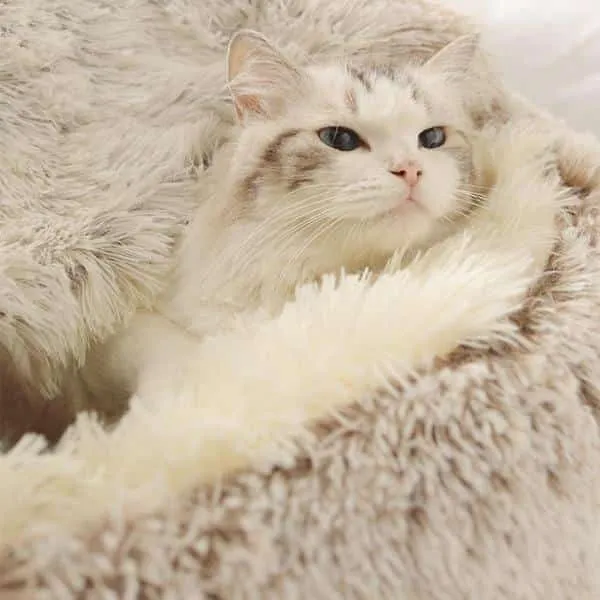 Couchage chaud et confortable