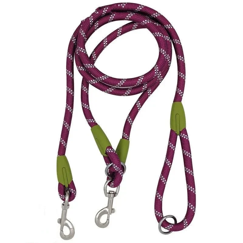 Laisse lasso chien ajustable