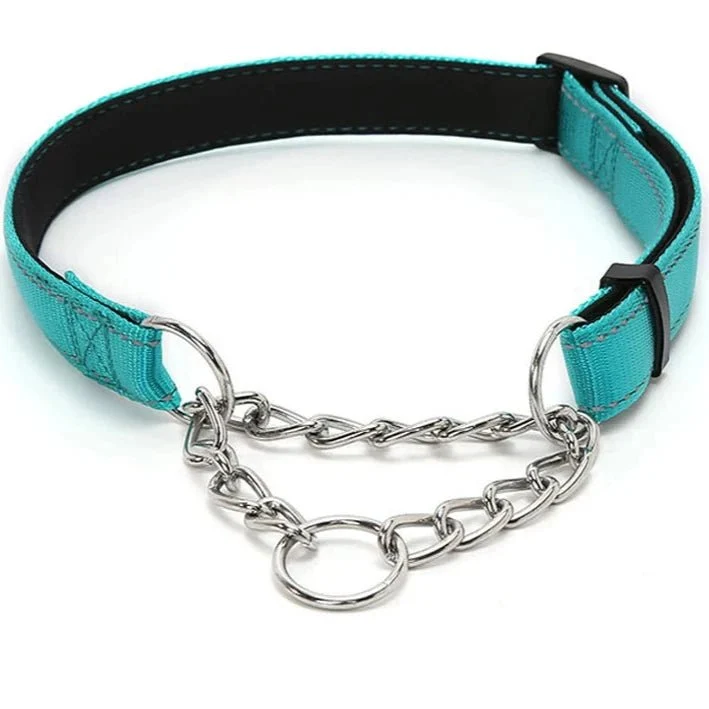 Collier étrangleur chien en nylon turquoise