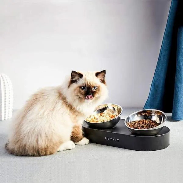 Gamelle pour chat design Petkit