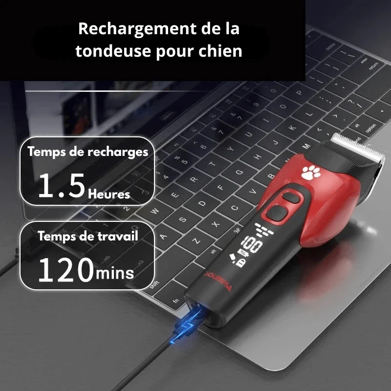 Tondeuse sans fil pour chien