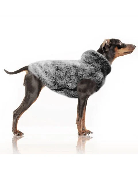 Sweat Fourrure ACHILLE pour Chien – Gris Anthracite