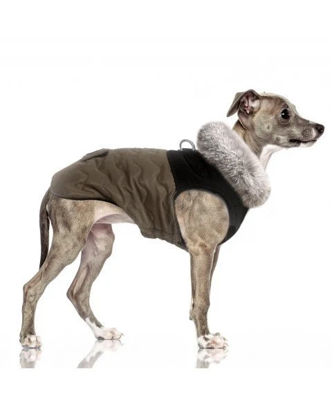 Doudoune Harnais Intégré AUGUSTE pour Chien – Marron / Fourrure Taupe