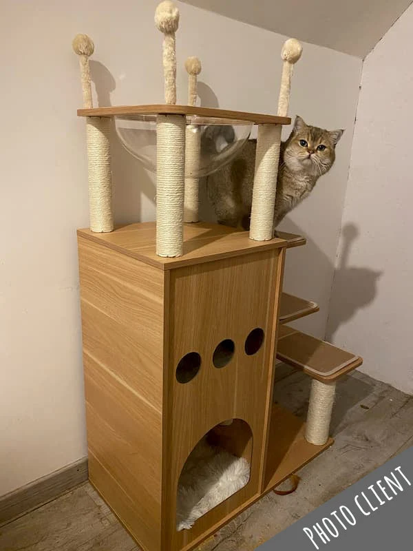 Arbre à chat Maine Coon en bois 130 cm – Modèle Copecito