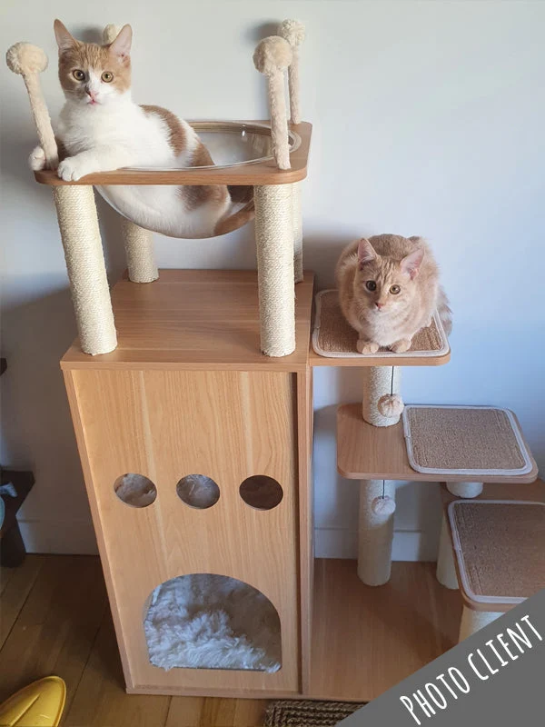 Arbre à chat Maine Coon en bois 130 cm – Modèle Copecito