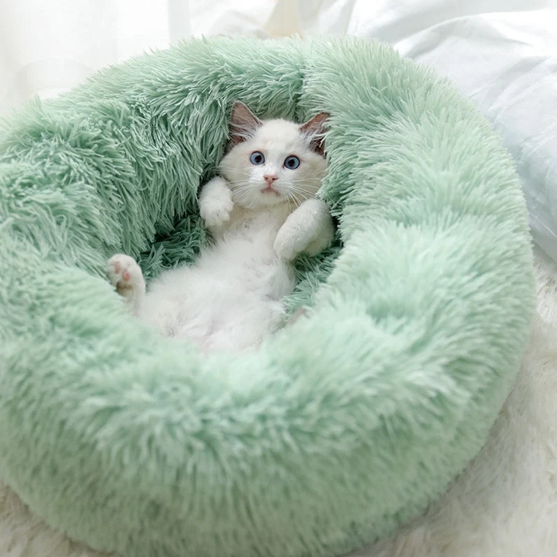 Couchage moelleux pour chat