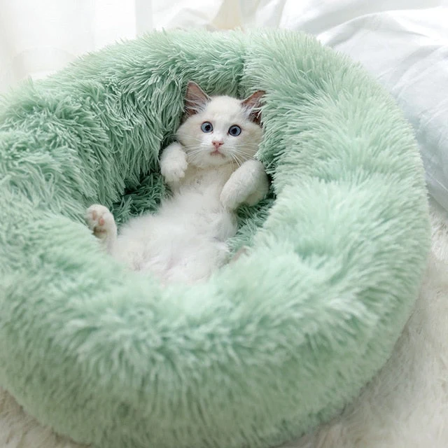 Couchage moelleux pour chat