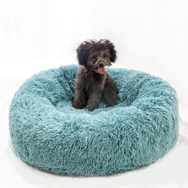 Couchage moelleux pour chat