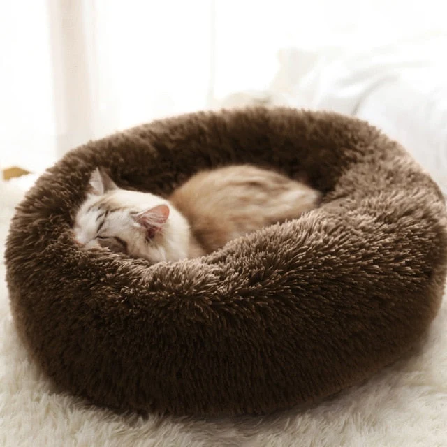 Couchage moelleux pour chat