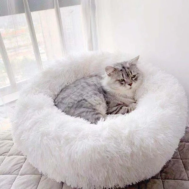 Couchage moelleux pour chat