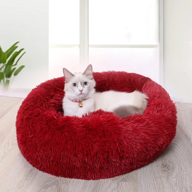 Couchage moelleux pour chat