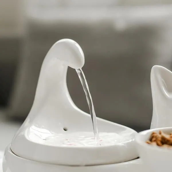Fontaine originale chat 2 litres