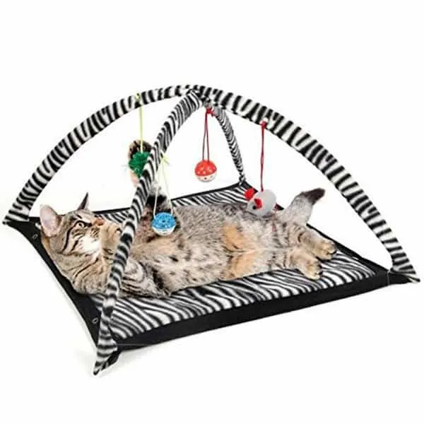 Tente de jeu et repos pour chat
