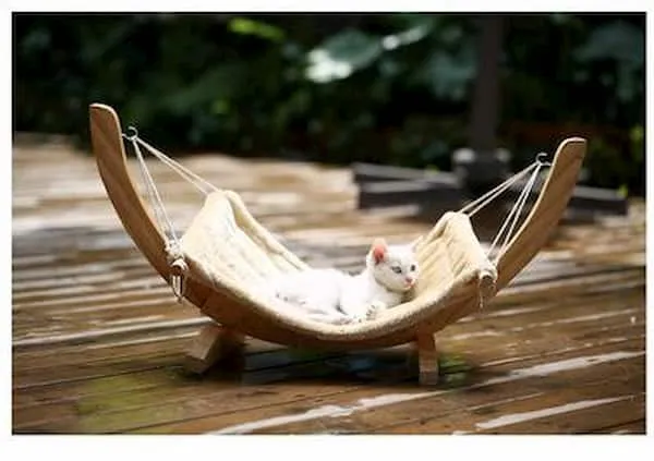 Hamac en bois pour chat