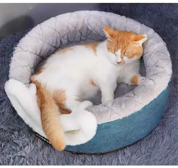 Couchage chat modulable