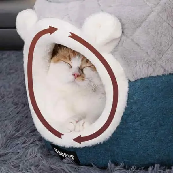 Couchage chat modulable