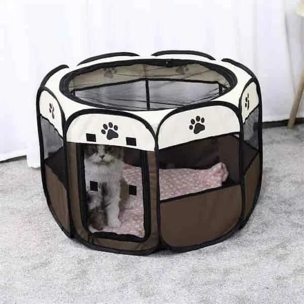 Parc pour chat