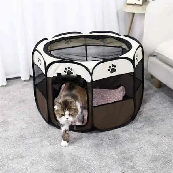 Parc pour chat