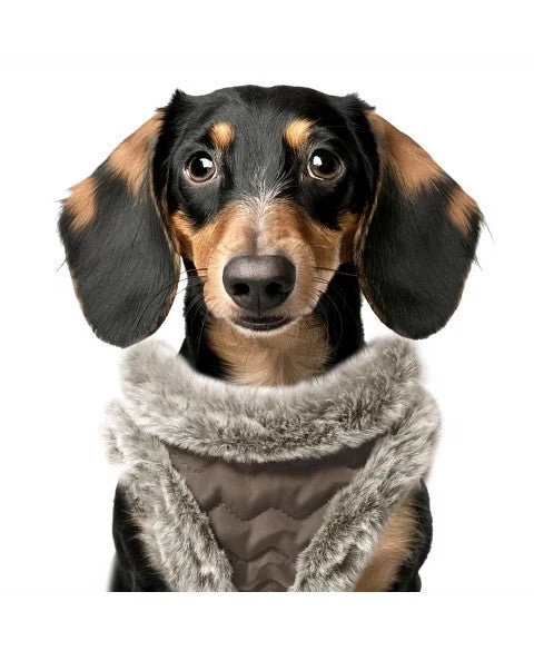 Harnais Louis doudoune marron glacé – petit à moyen chien