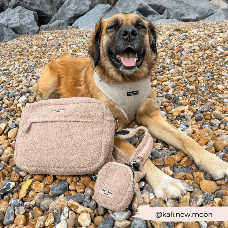 Pochette friandises chien Teddy Rupert – chic & pratique