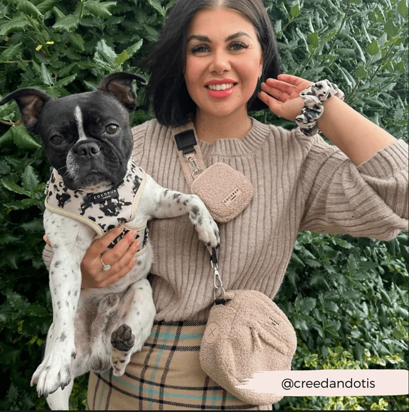 Pochette friandises chien Teddy Rupert – chic & pratique