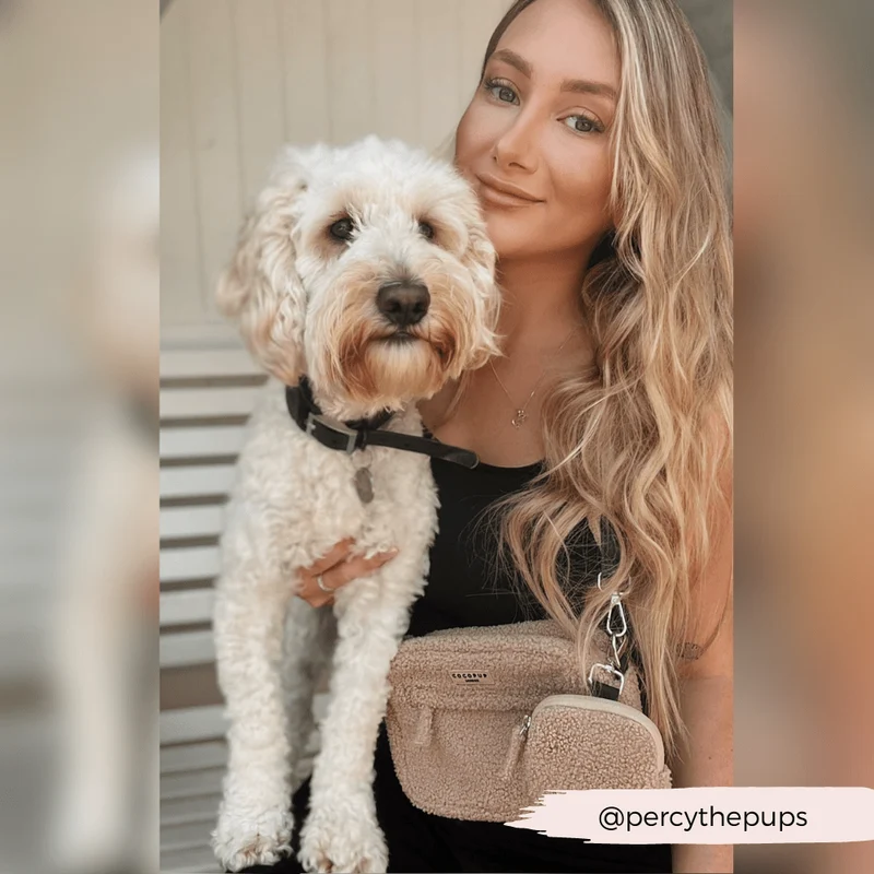 Sac de promenade chien Teddy Rupert – doux & organisé