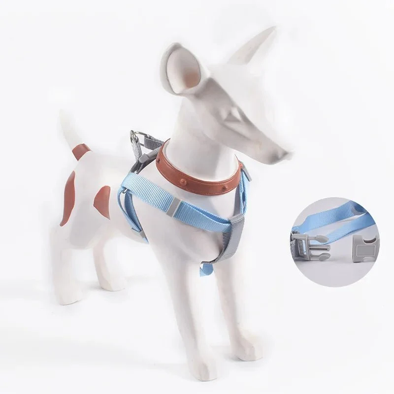 Harnais ajustable pour Chihuahua