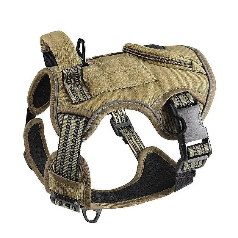Harnais chien militaire