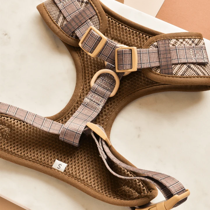 Harnais chien Pup Plaid ajustable en H – chic & sécurisé