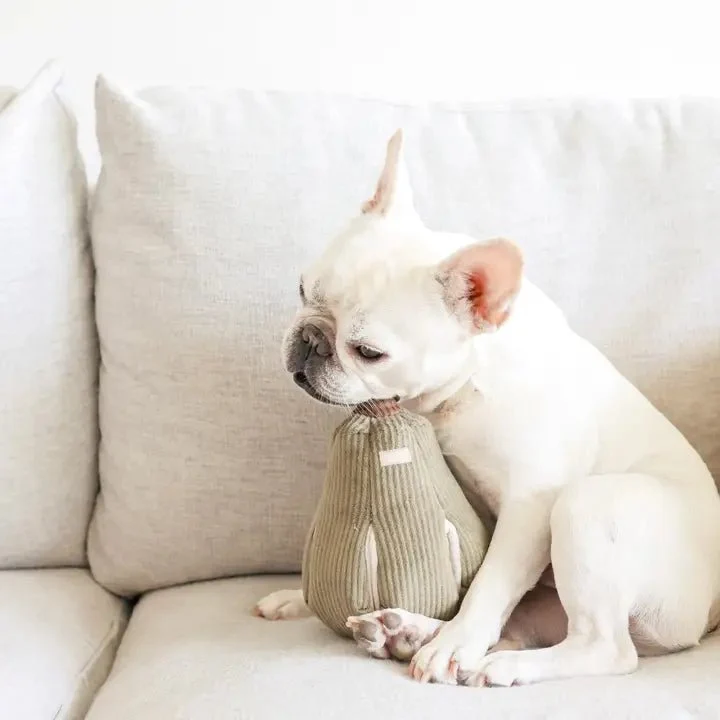 🎃 Jouet de fouille BUTTERNUT – Courge interactive pour chiens joueurs