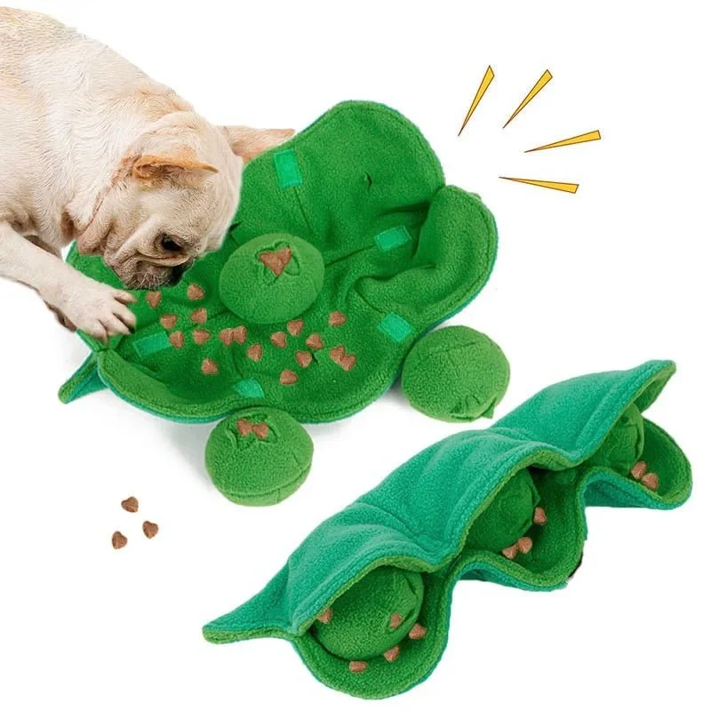 Haricot de fouille pour chien