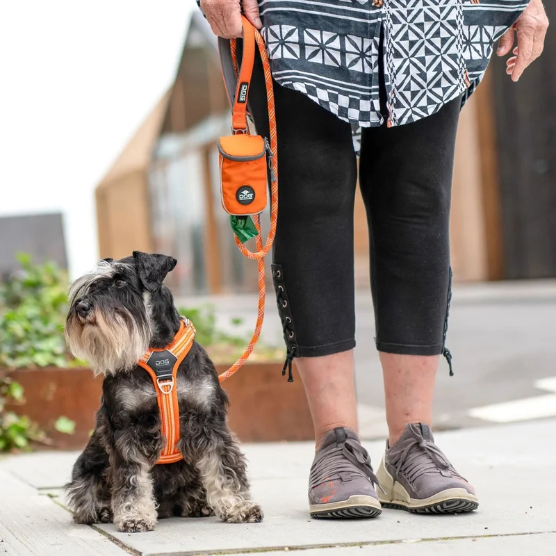 Harnais orange Comfort Walk Air™ – DOG Copenhagen