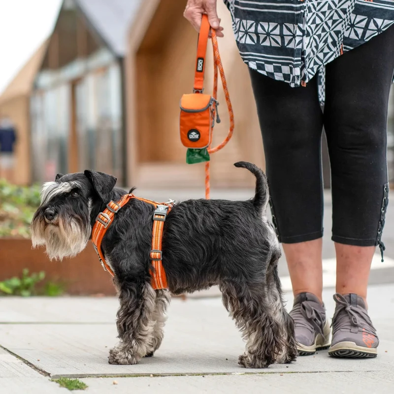 Harnais orange Comfort Walk Air™ – DOG Copenhagen