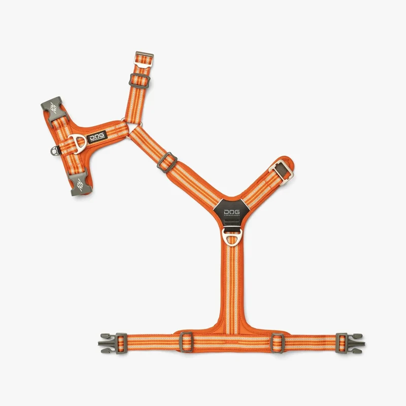 Harnais orange Comfort Walk Air™ – DOG Copenhagen