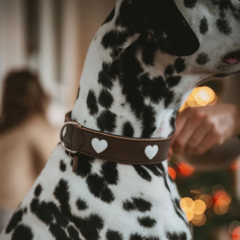 Halsband Love