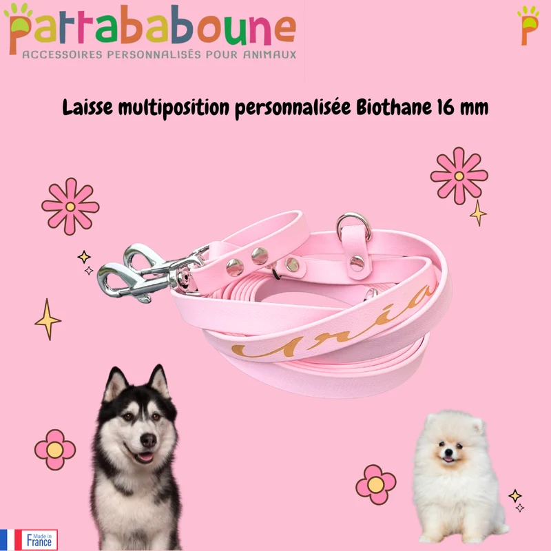 Laisse multiposition personnalisée pour chien - Biothane 16 mm