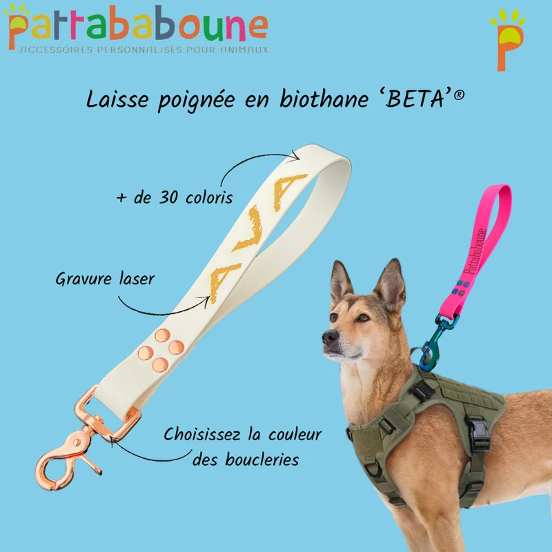 Poignée personnalisée pour chien en biothane 25 mm - Gravure laser | Fabriquée en France