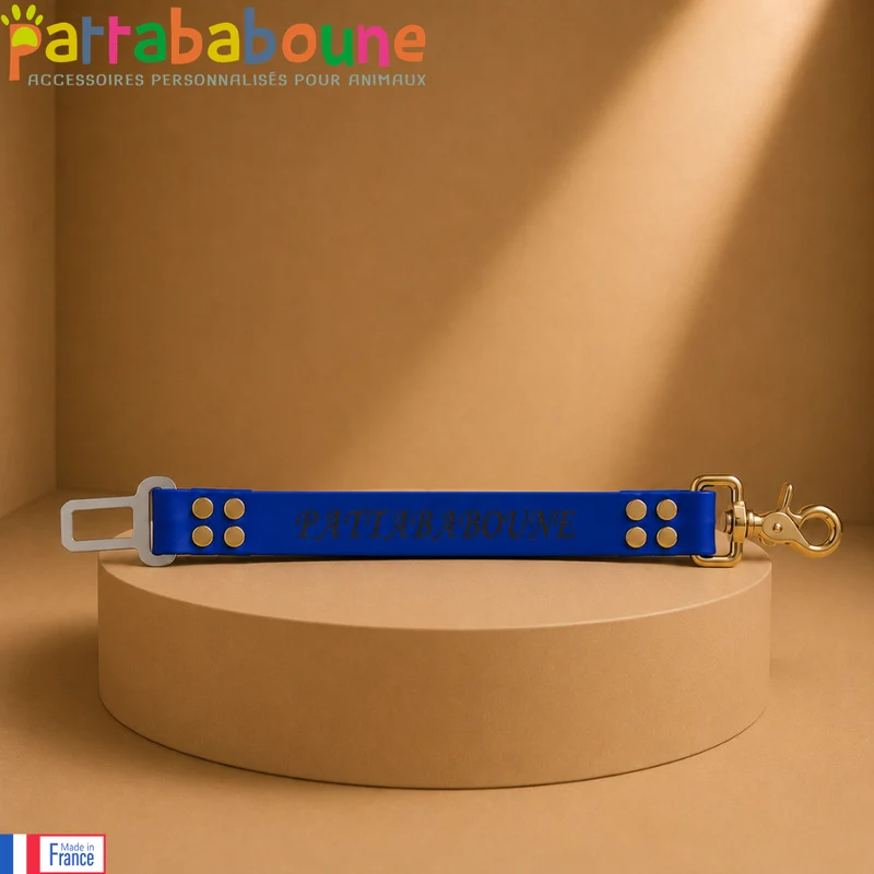 Ceinture de sécurité voiture pour chien et chat personnalisée - Biothane 25 mm