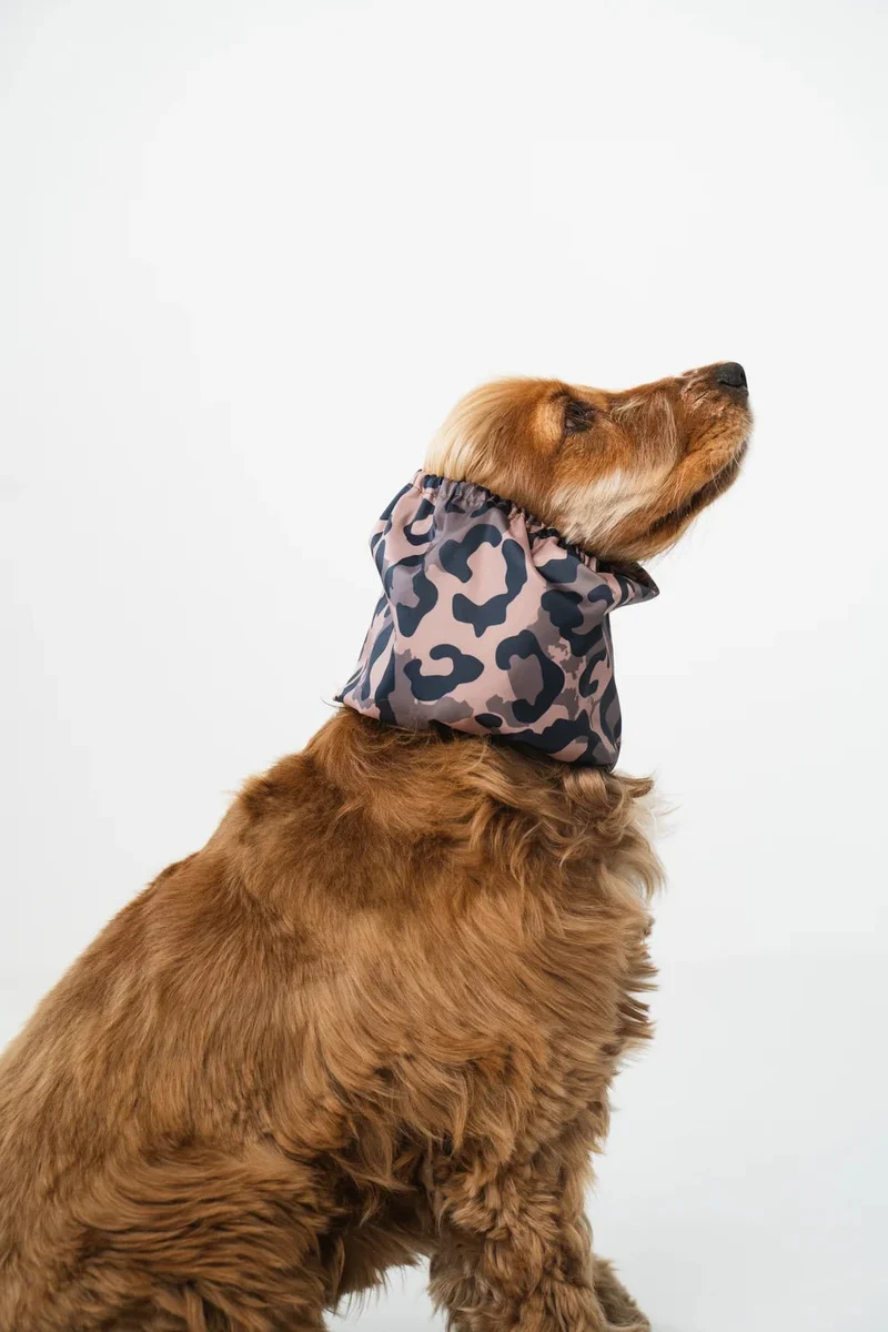 Snood imperméable pour chien – Animal Print & Oreilles au sec