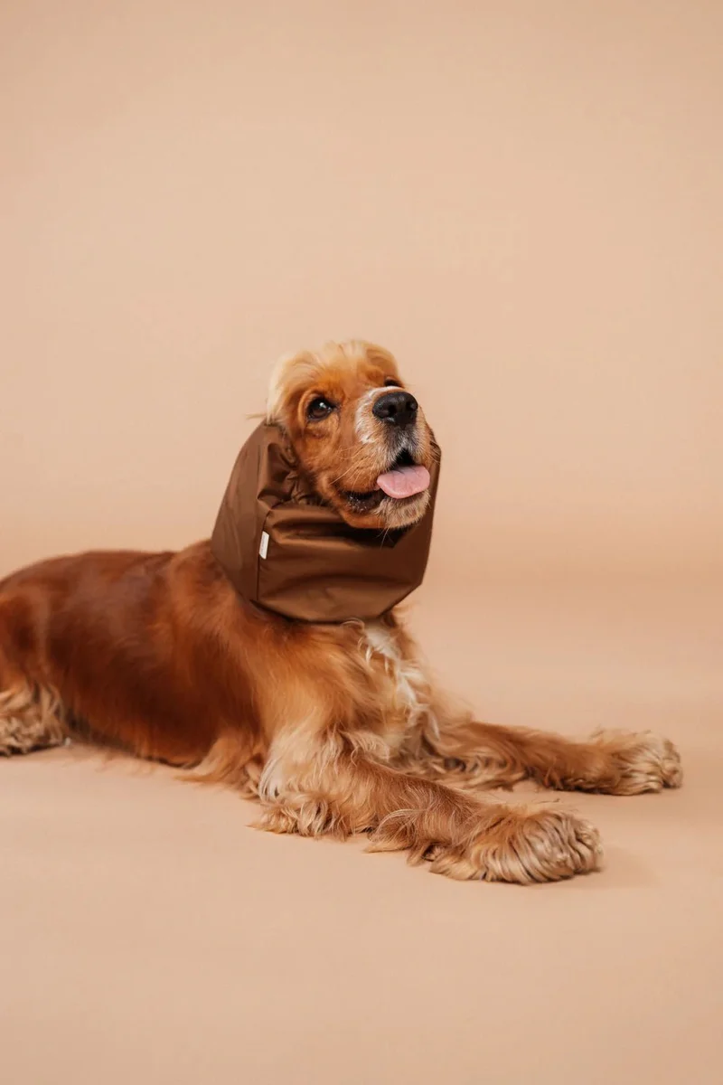 Snood imperméable pour chien – Marron élégant & Oreilles au sec