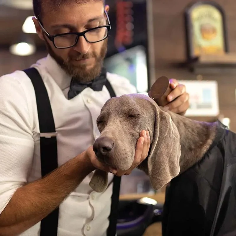 Brosse pour chien Barbershop – dents fines inox, manche bois