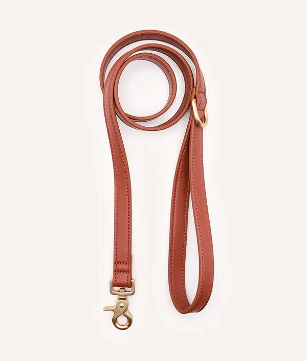 Laisse pour Chien en Cuir Vegan Marron Camel – Jala