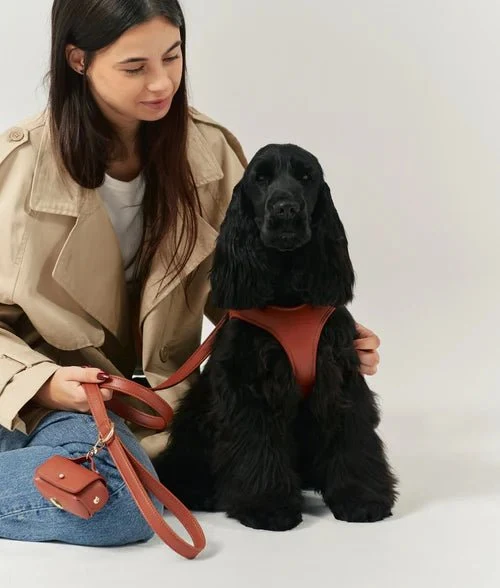 Harnais pour Chien en Cuir Vegan Marron Camel – Jala