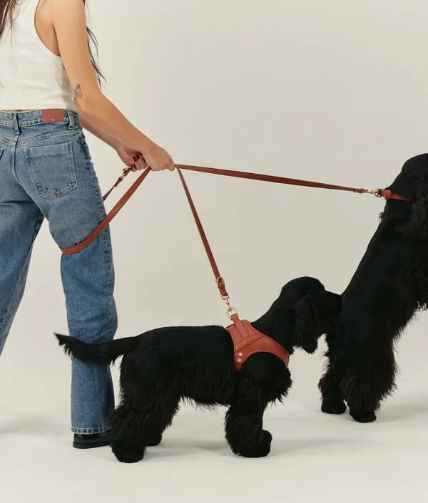 Harnais pour Chien en Cuir Vegan Marron Camel – Jala