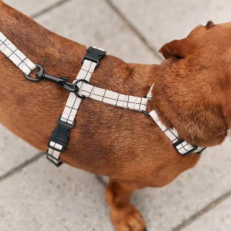 Harnais en Y pour Chien Éco-responsable – Beige à Carreaux Juno