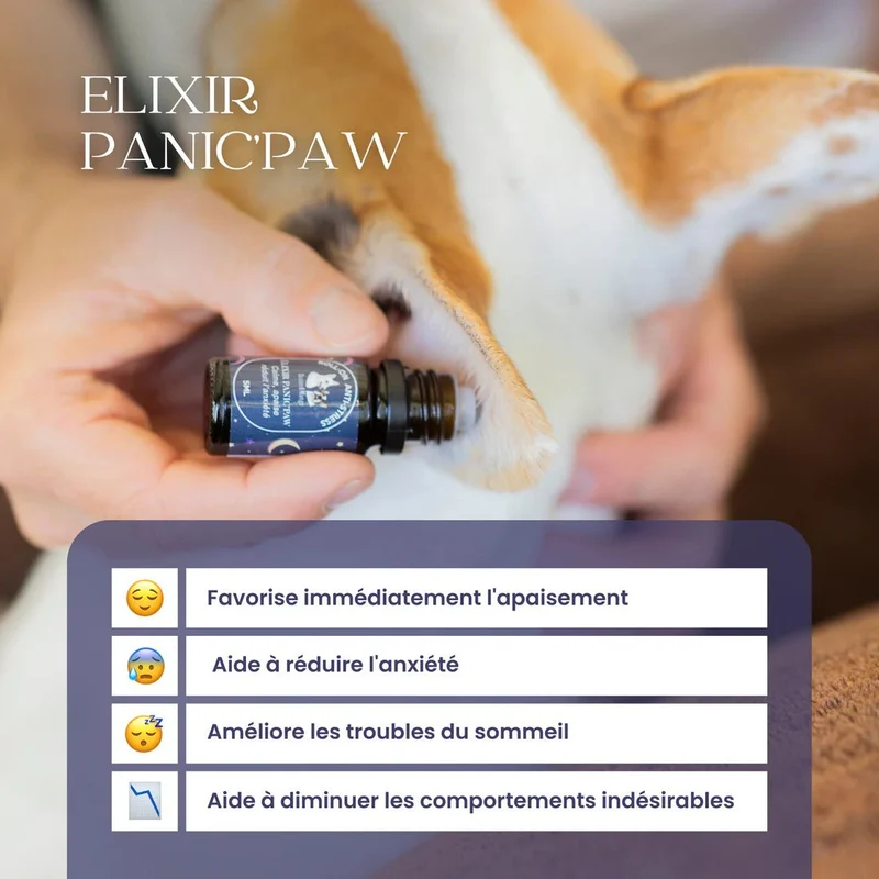 Roll-on anti-stress chien Panic'paw – apaisant bio 5 ml